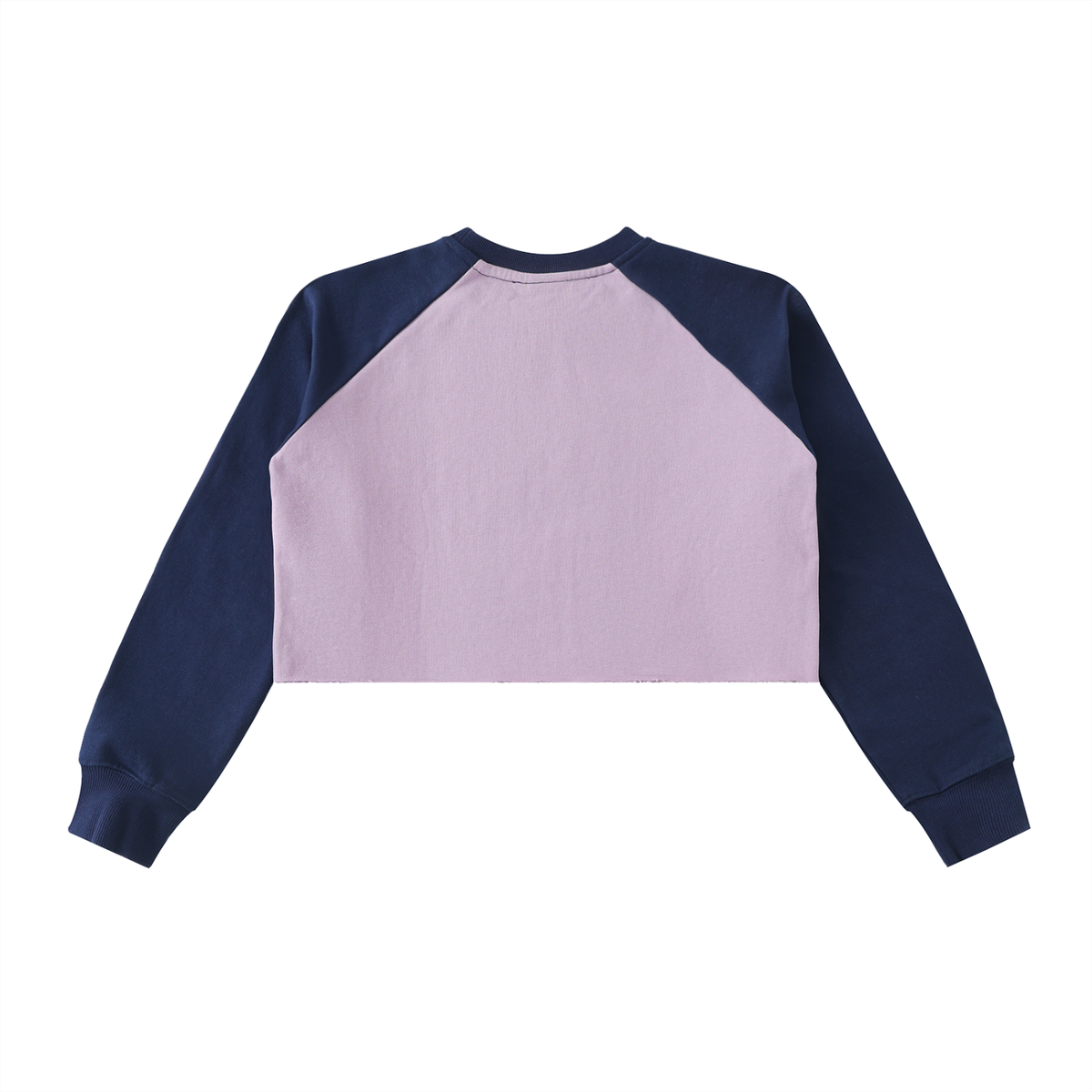 WATERGUN Crop Sweatshirt Purple